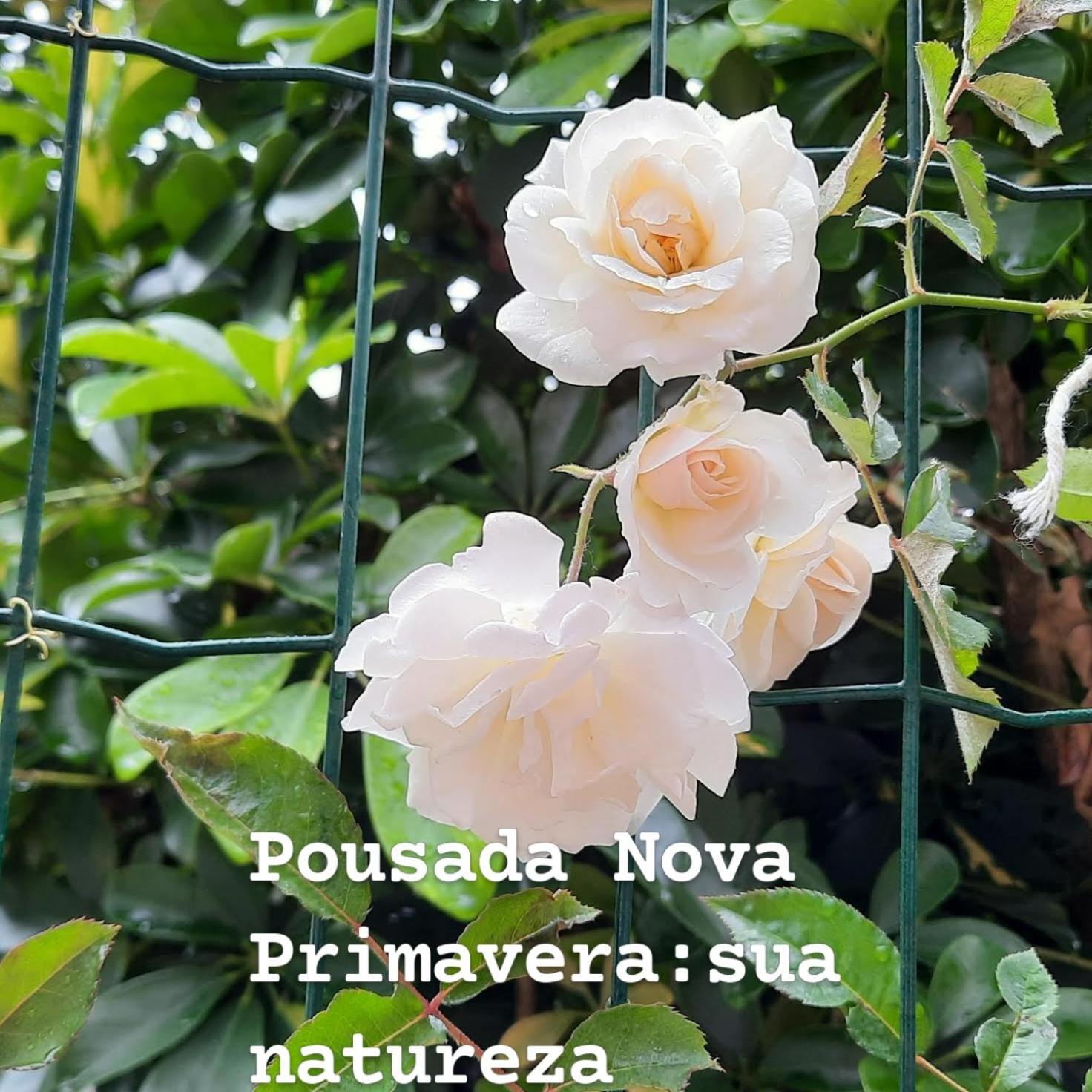 Pousada Nova Primavera Ubatuba Exteriér fotografie